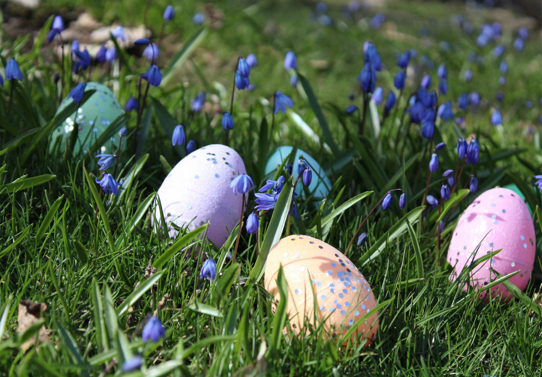 Planning The Perfect Kids Easter Egg Hunt Party with Games and Decor